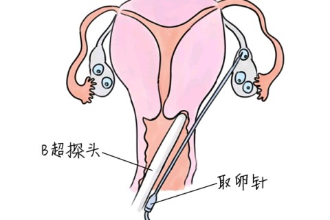 http://kunming.vdtfzz.com/post/205.html|昆明供卵助孕