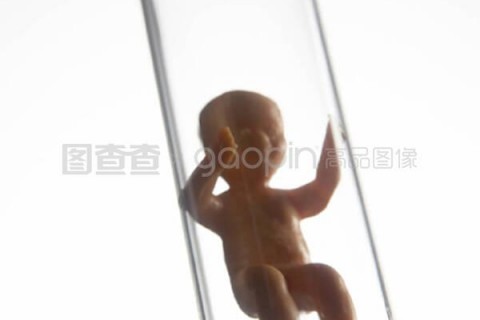 http://kunming.vdtfzz.com/post/197.html|昆明试管助孕