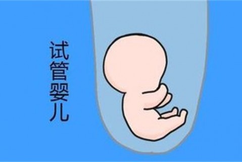 http://kunming.vdtfzz.com/post/194.html|昆明新闻中心