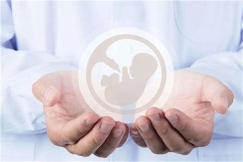 http://kunming.vdtfzz.com/post/214.html|昆明人工试管